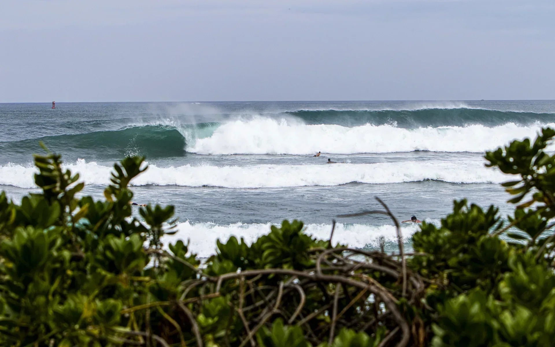 Spot Check : Haleiwa