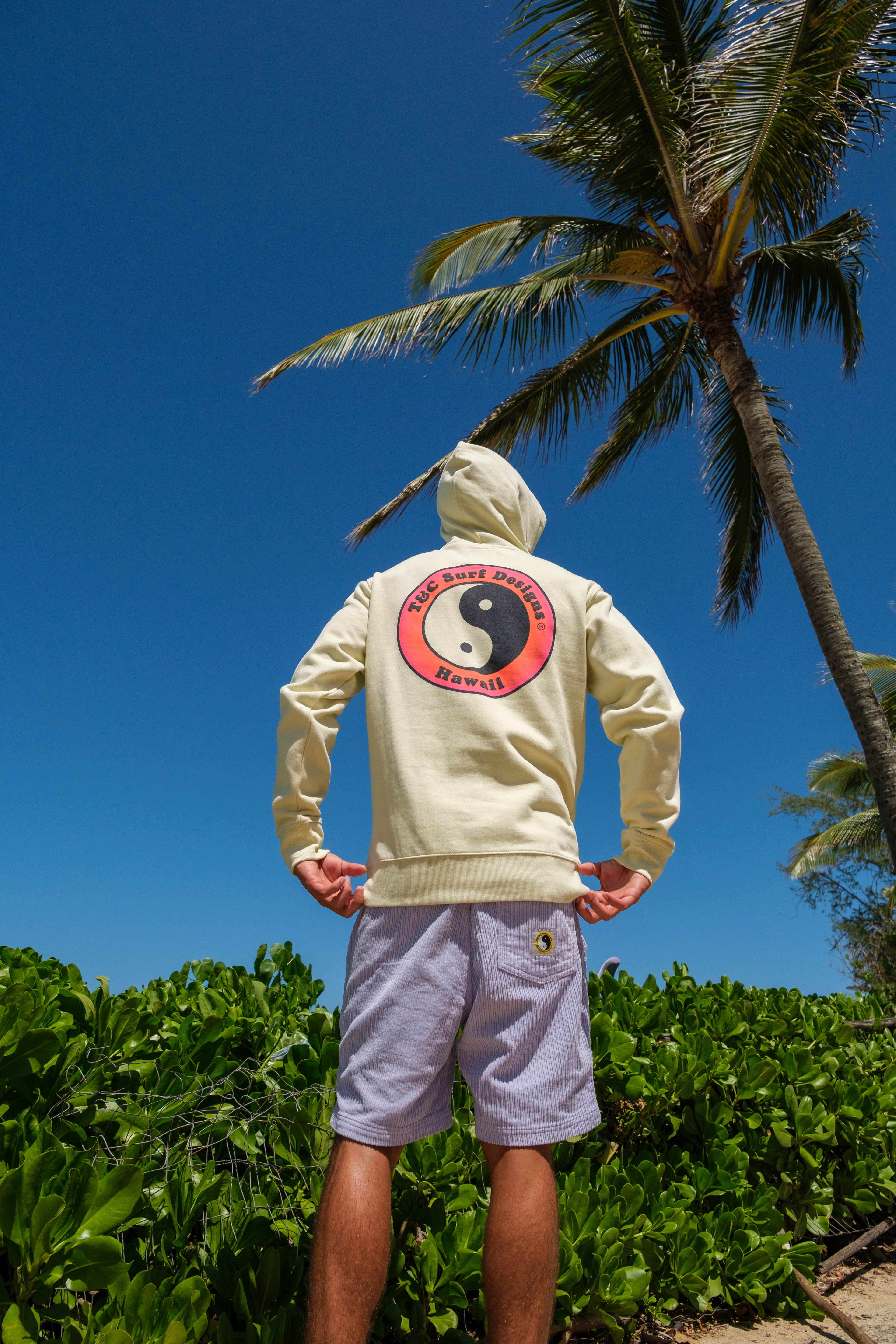 T&C Surf Designs YY Hooded Sweatshirt - Used Sage