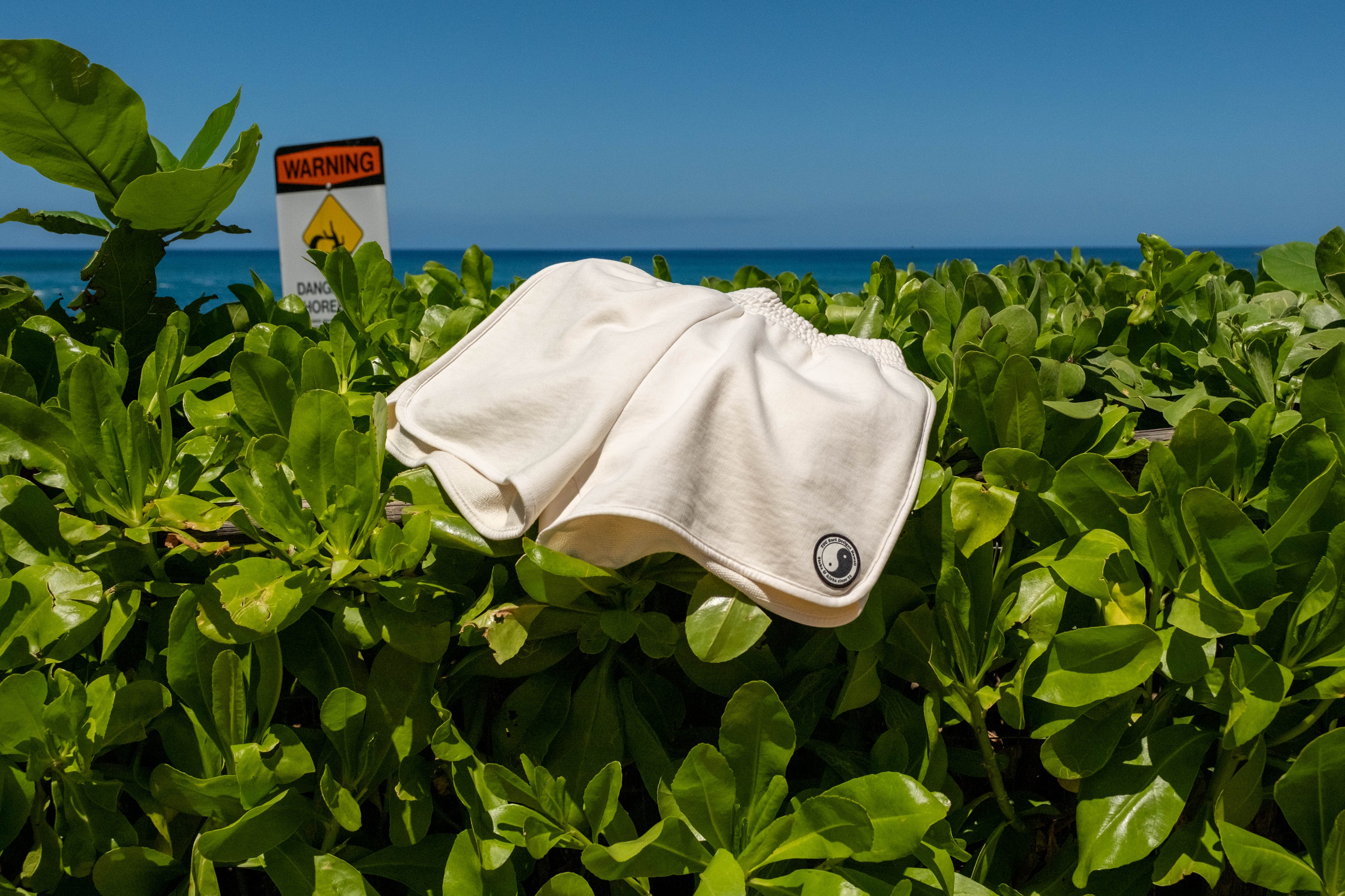 T&C Surf Designs Women YY Fleece Short - Greige