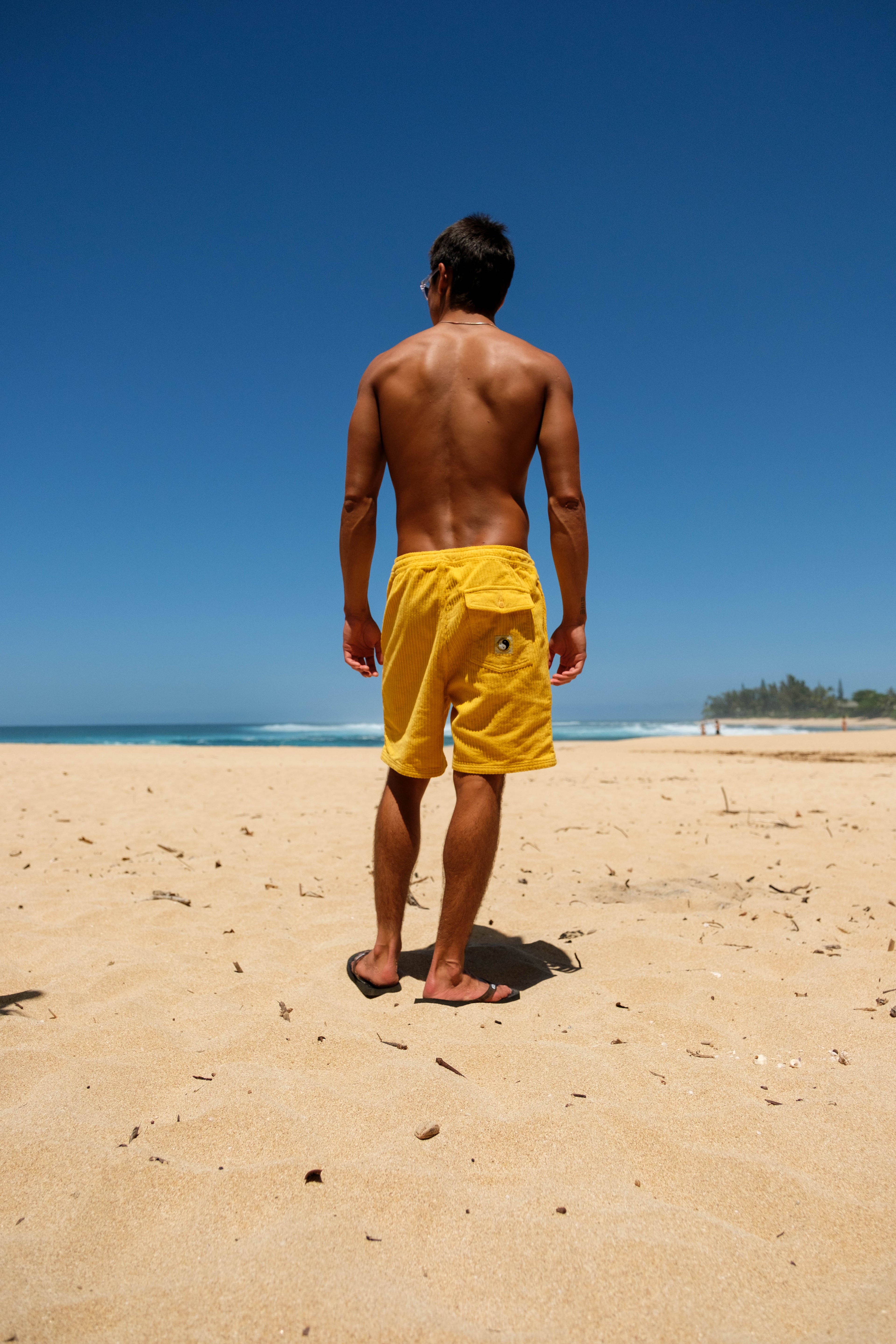 T&C Surf Designs Corduroy Beach Short 19'' - Washed Mustard