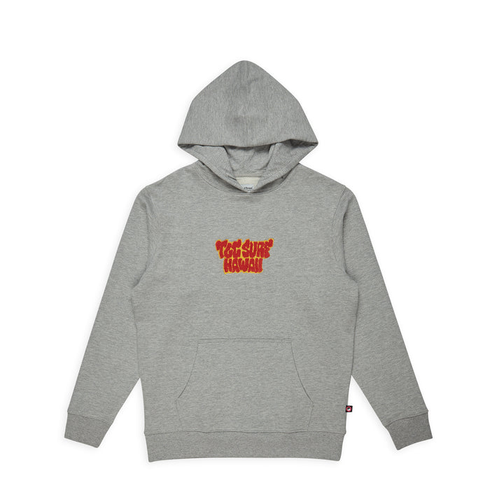 T&C Surf Designs Chenille Hooded Sweat- Grey Heather