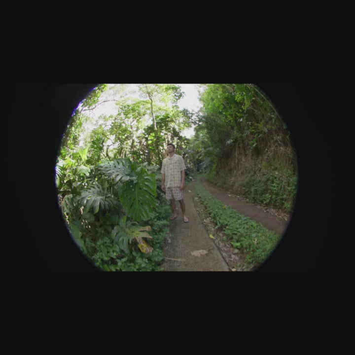 T&C Surf Designs Aloha Elastic 17.5" Beach Short - Greige